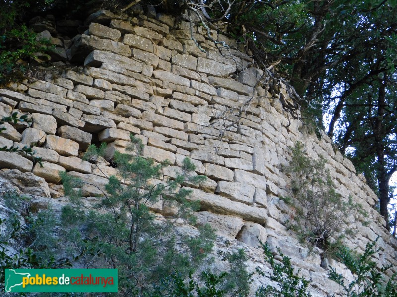 Vilanova de Sau - Restes del castell de Cornil