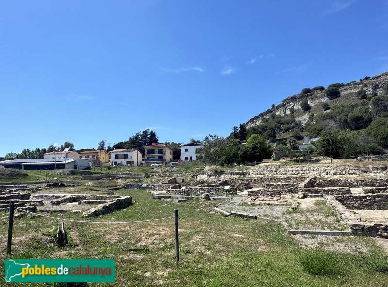 Tona - Jaciment del Camp de les Lloses