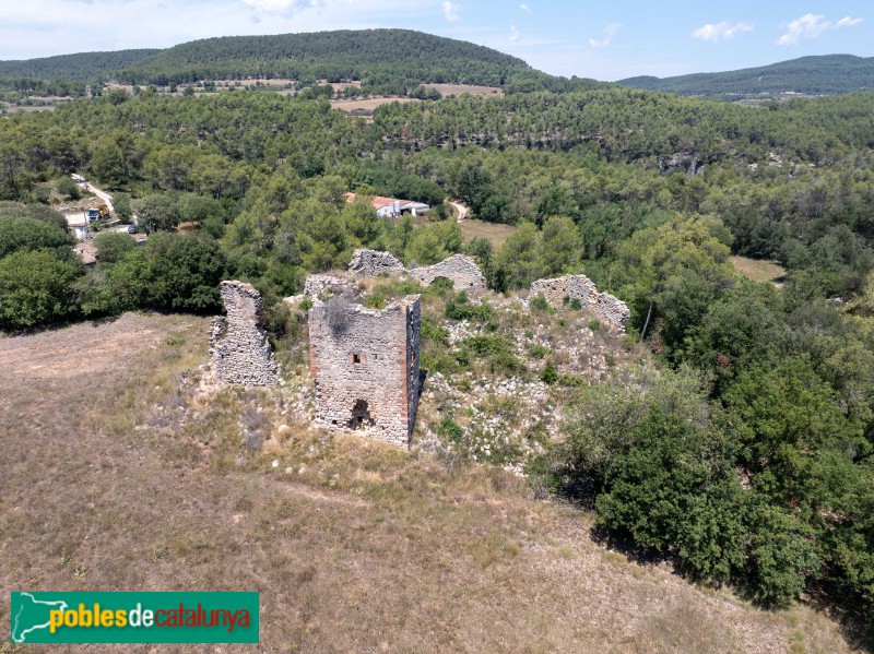 La Llacuna - Els Castellots (Francesc Vidal-Barraquer) (2)