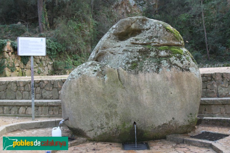 Santa Coloma de Farners - Parc de Sant Salvador. Font de Sant Salvador