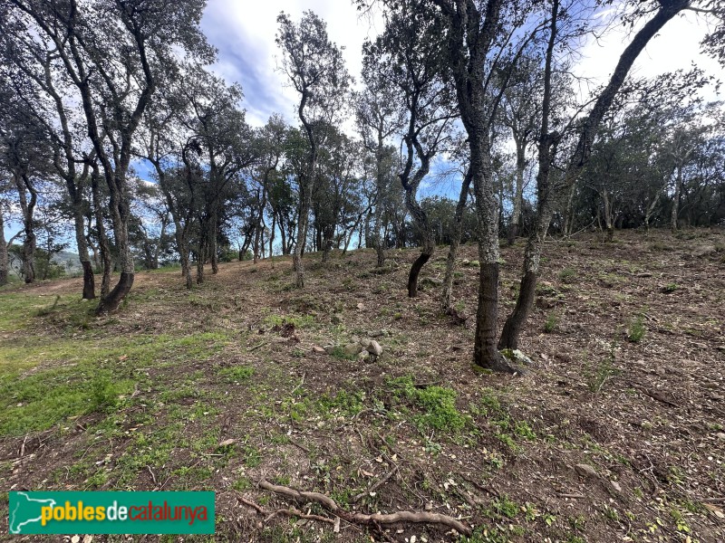 Cassà de la Selva - Poblat ibèric del Puig del Castell