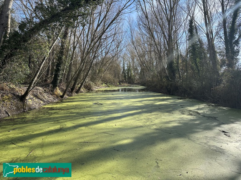 Cassà de la Selva - Resclosa de la Capçana